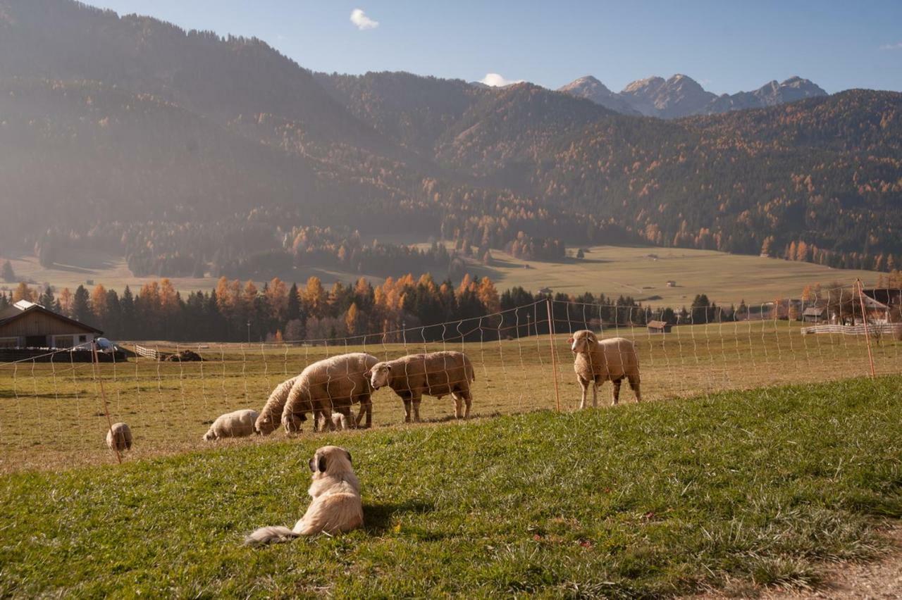 Peterlan Hof Farm stay *